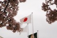 桜と国旗